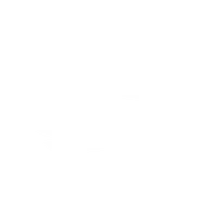 Fijian Drua