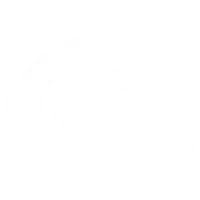 Carlton Football Club